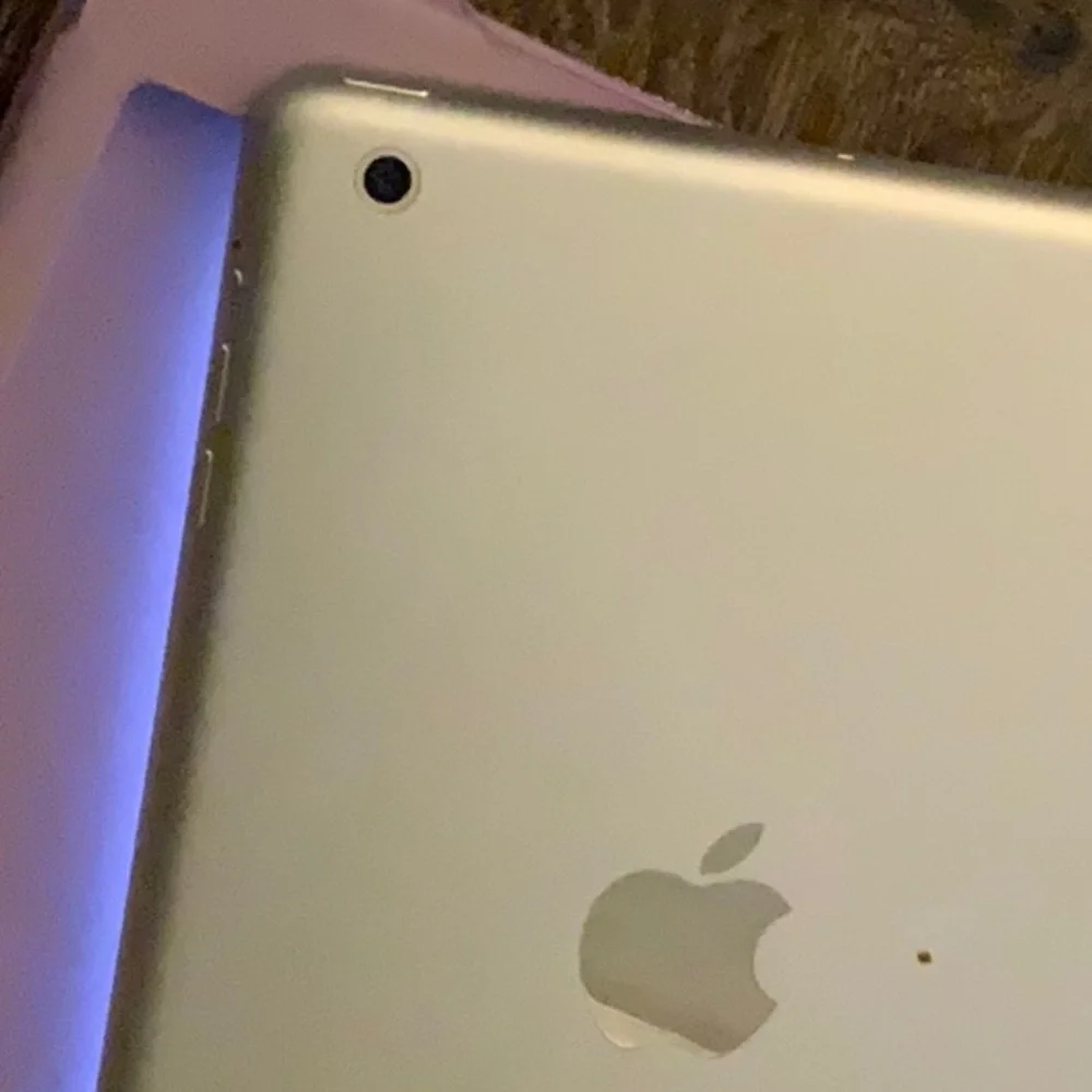 Unlocked iPad mini 4
